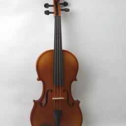 Vioara 4/4 Economica