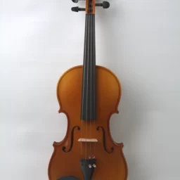 Vioara Avansat 4/4 Bird Eyes