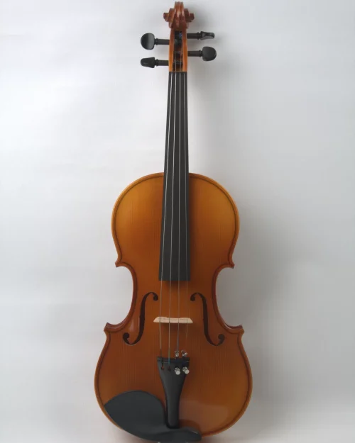 Vioara Avansat 4/4 Bird Eyes