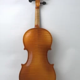 Vioara Avansat 4/4 Bird Eyes