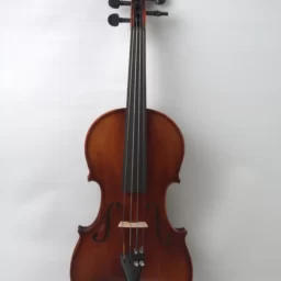 Vioara v250 Academy