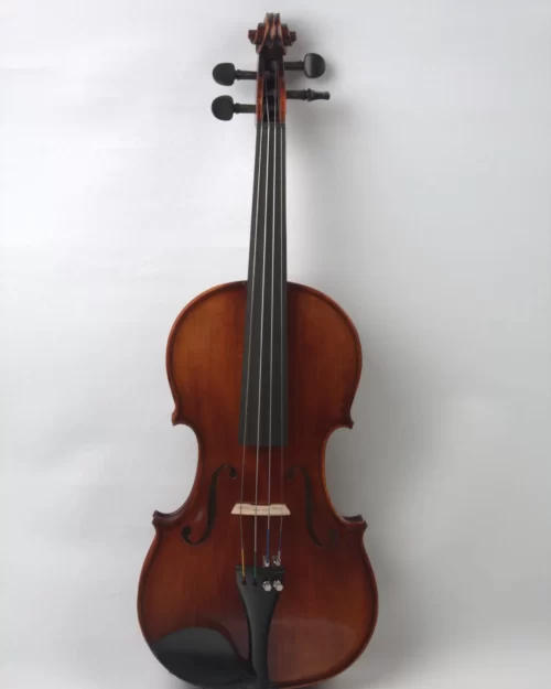 Vioara v250 Academy
