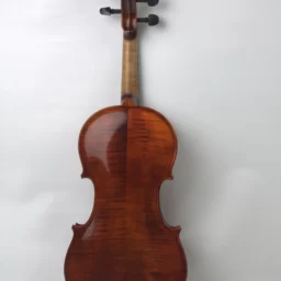 Vioara v250 Academy