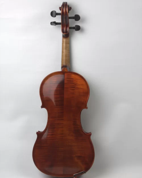 Vioara v250 Academy