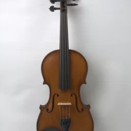 Vioara 4/4 Profesionala