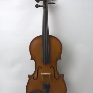 Vioara 4/4 Profesionala