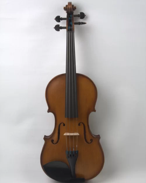 Vioara 4/4 Profesionala