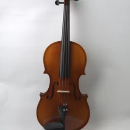 Viola 16,5” ACC. Abanos
