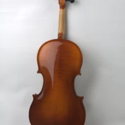 Viola 16,5” ACC. Abanos