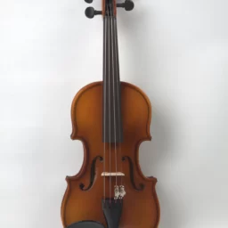 Vioara 1/10