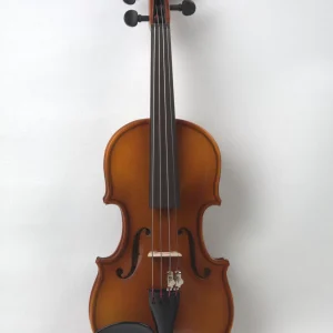 Vioara 1/10