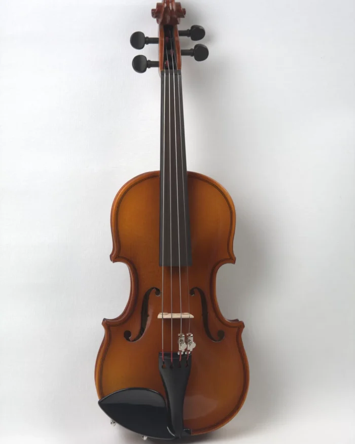 Vioara 1/10