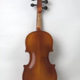 Vioara 1/10