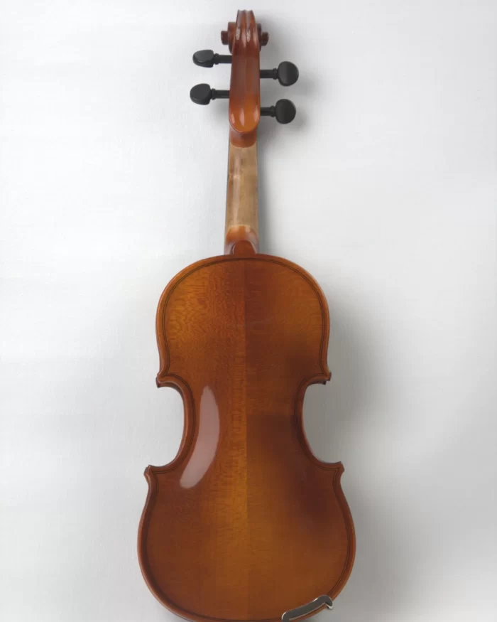 Vioara 1/10