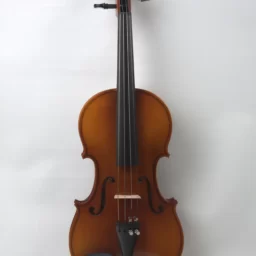 Vioara 3/4 Accesorii Abanos