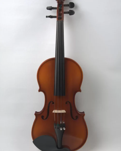 Vioara 1/16 Student