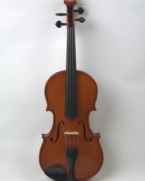 Vioara 1/2 Profesional