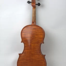 Vioara 1/2 Profesional