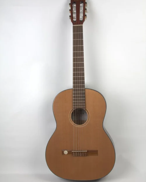CHITARA CLASICA STEJAR