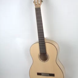 Chitara Clasica Eco Paltin
