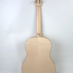 Chitara Clasica Eco Paltin