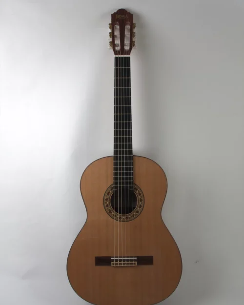 CHITARA CLASICA REGUN SM20