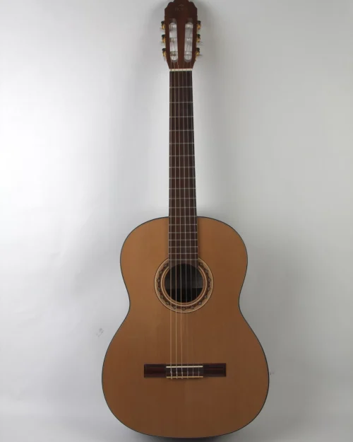 CHITARA CLASICA SM498