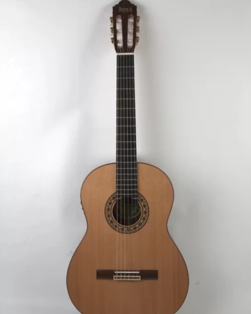 Chitara Clasica Regun SM20 EQ