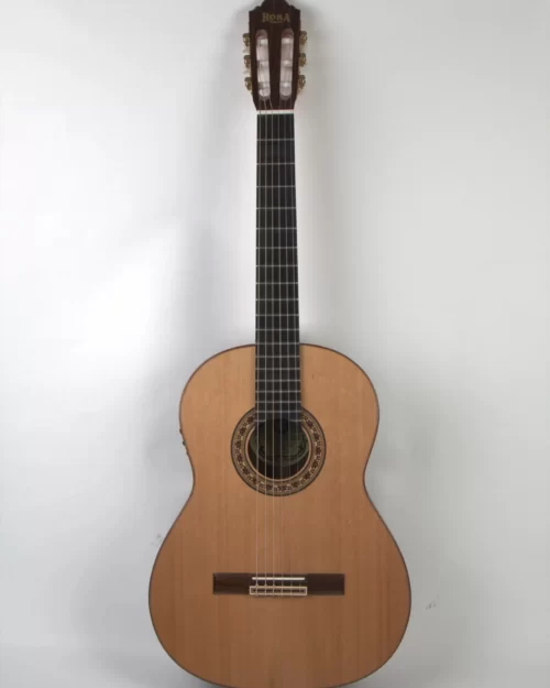 Chitara Clasica Regun SM20 EQ