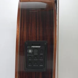 Chitara Clasica Regun SM20 EQ