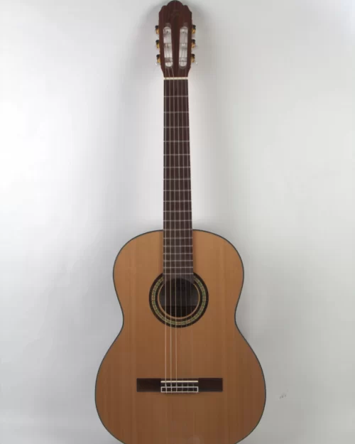 Chitara Clasica SM 68