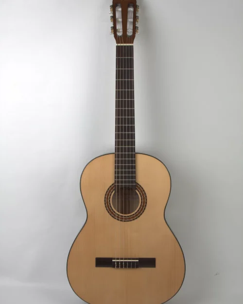 CHITARA CLASICA SPANIOL 2