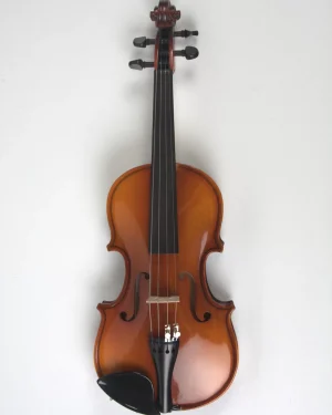 Vioara