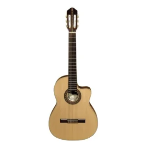 Chitara SM 45 EQ Fishman