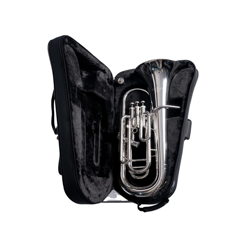 Eufoniu Schagerl Signature James Morrison Silver Plated Gold Trim