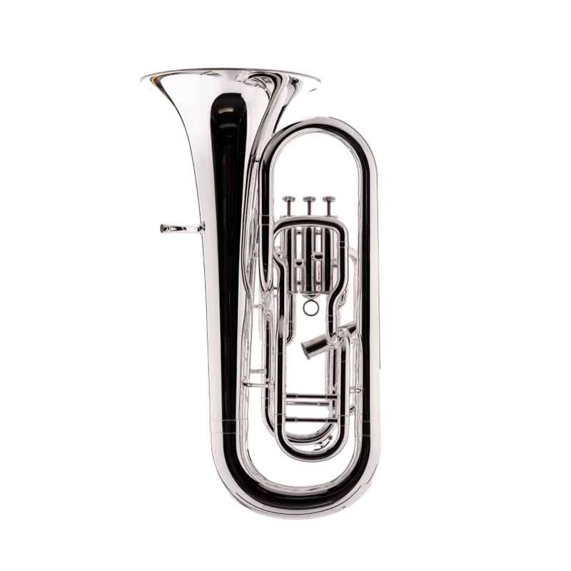 Eufoniu Schagerl Signature James Morrison Silver Plated Gold Trim